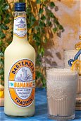 BARTENDERS IM BANANAS OVER YOU