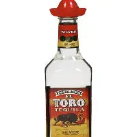 EL TORO SILVER