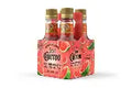 JOSE CUERVO WATERMELON