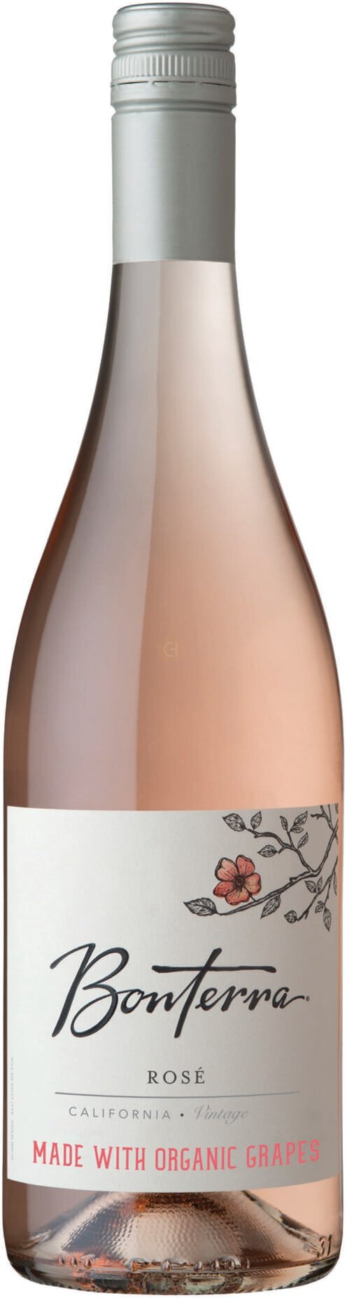 BONTERA ROSE